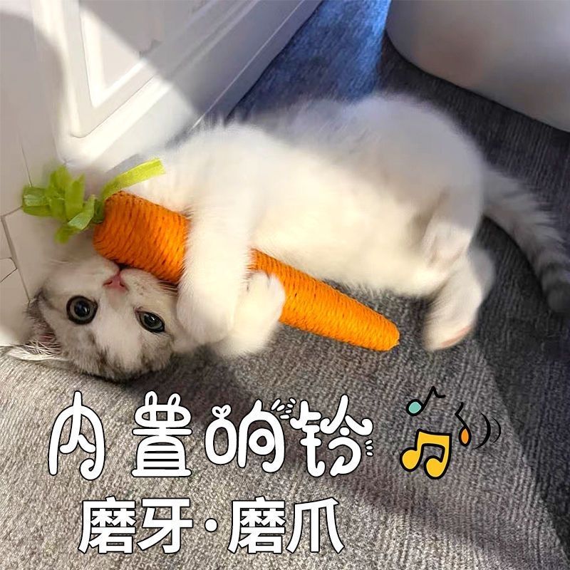 【新疆包邮】猫咪玩具胡萝卜咬不烂耐磨小猫磨牙棒内置响声宠