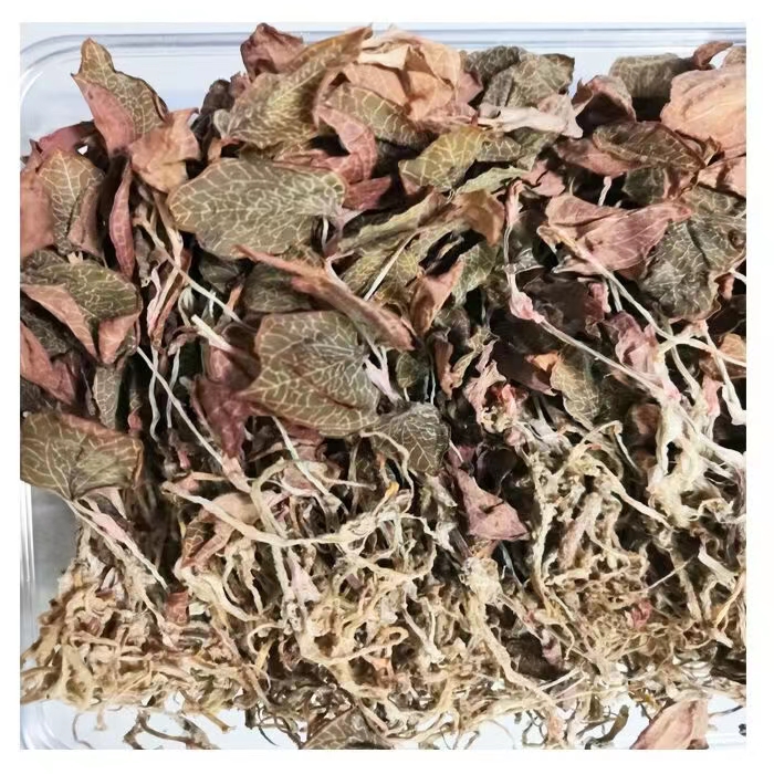 【福利】林下老金线莲