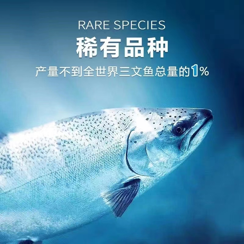 现切现称帝王鲑三文鱼新西兰进口食品海鲜食品冰鲜300g起  