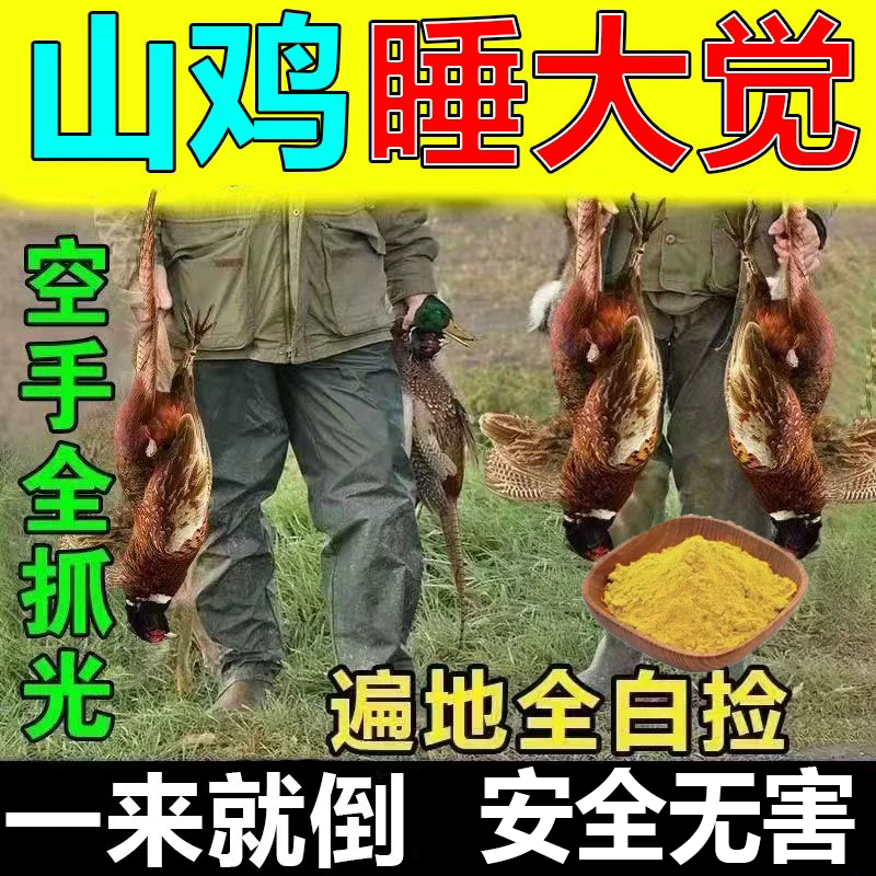 抓鸭子神器抓鸡鸽子专用网户外抓鸡神器户外抓鸭网抄网鸡用捉鹅c