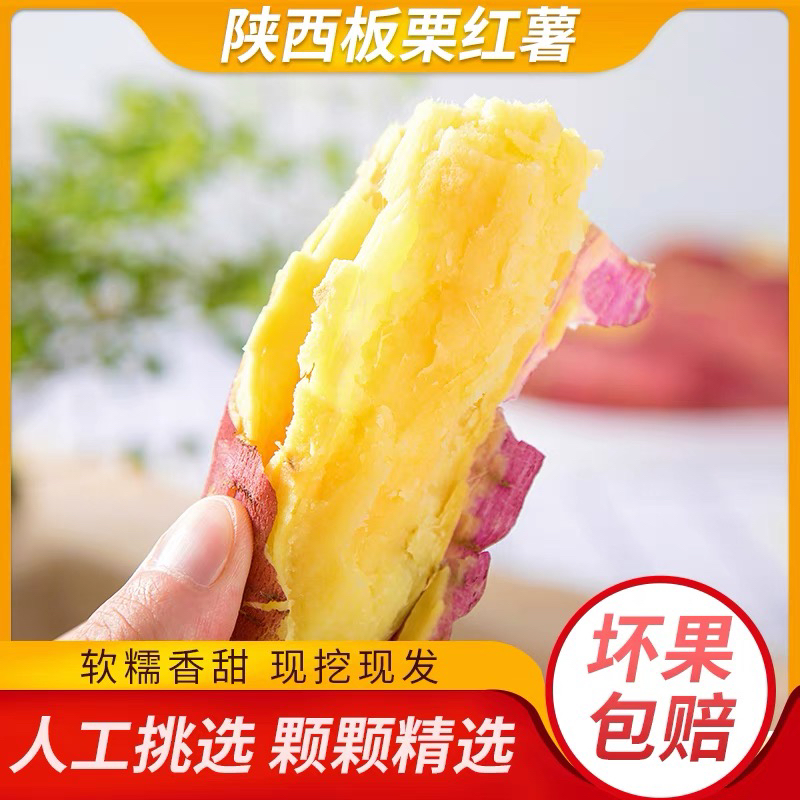 陕西正宗板栗红薯沙地现挖现发健康粗粮新鲜番薯3斤5斤9斤包邮