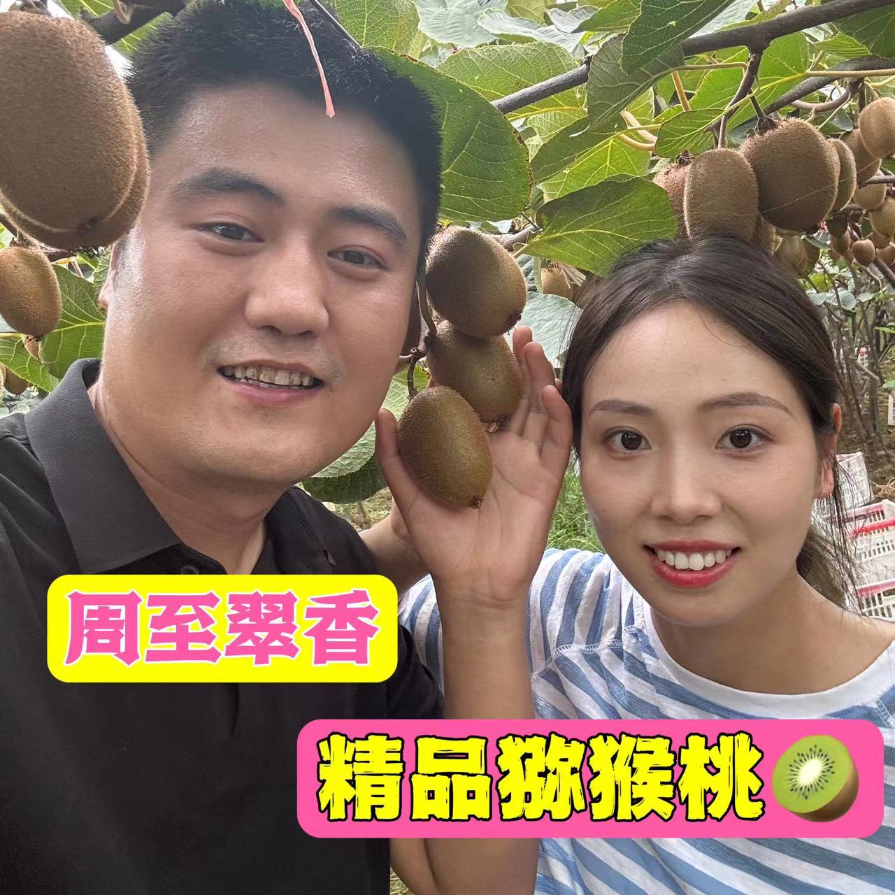 【小惠与二狗】陕西翠香猕猴桃香甜多汁应季水果现摘4.5斤包邮