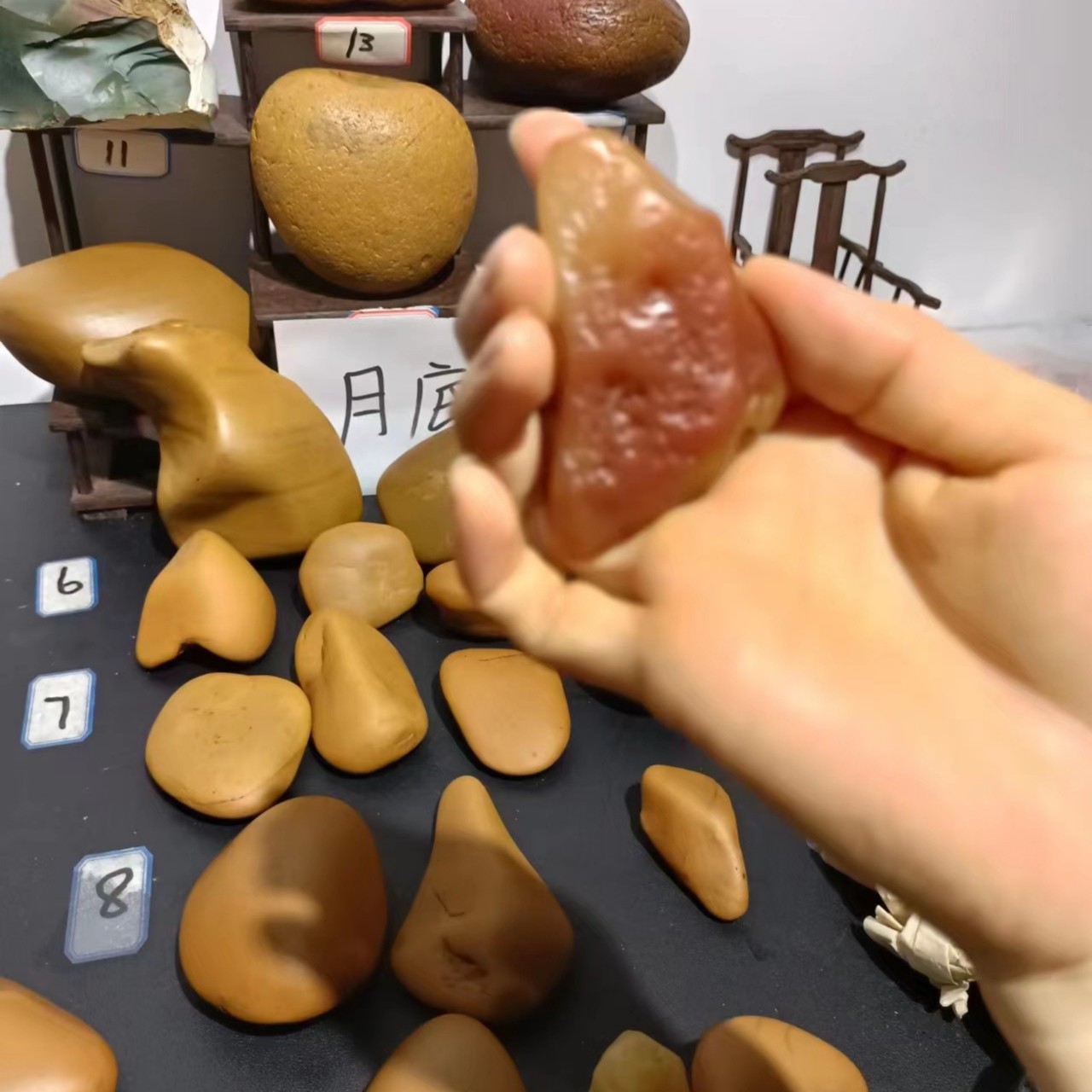 黄蜡石观赏石直播间专拍