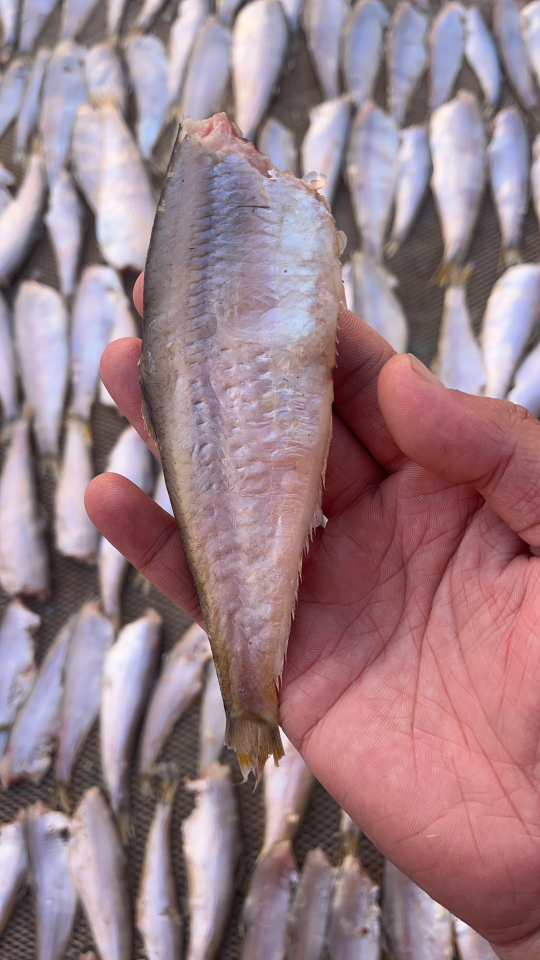 大连胖姐晾晒油扣鱼干 3斤