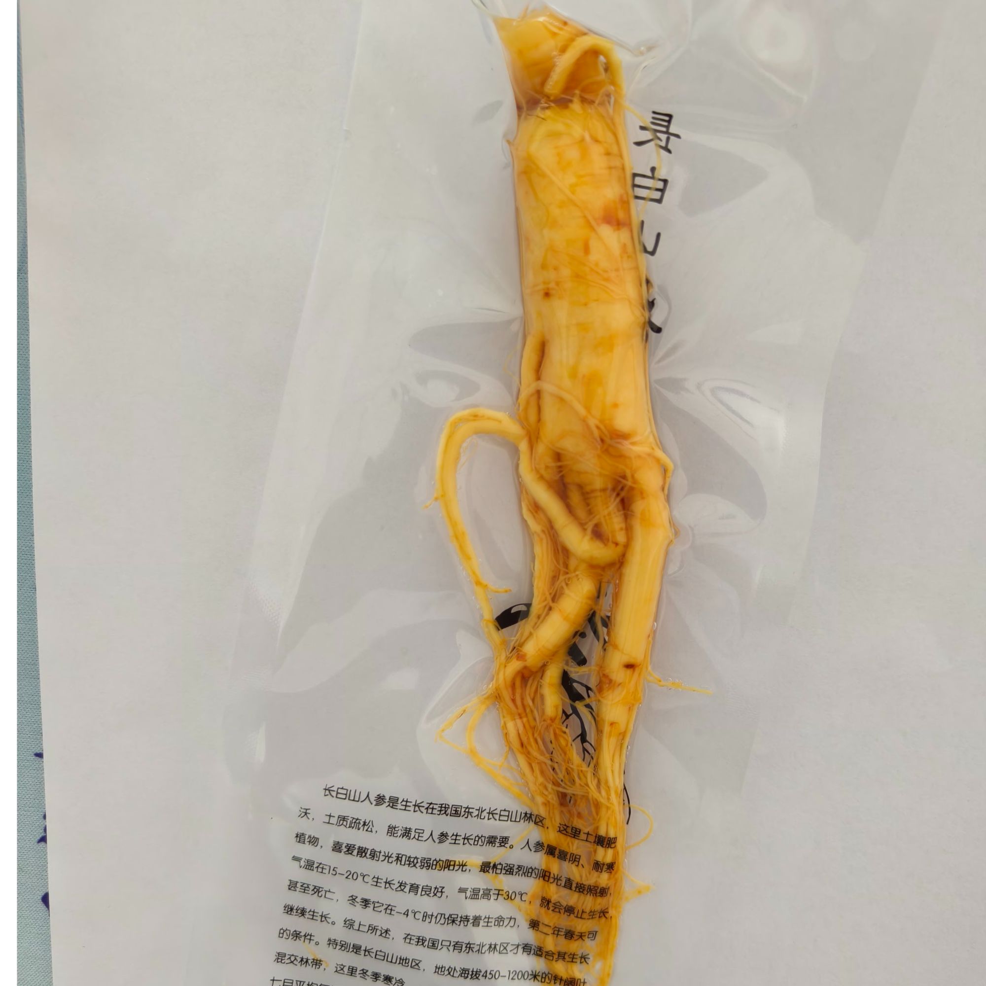 人参长白山参保鲜小参泡水新鲜饱满正宗泡酒正品真空煲汤独立包装