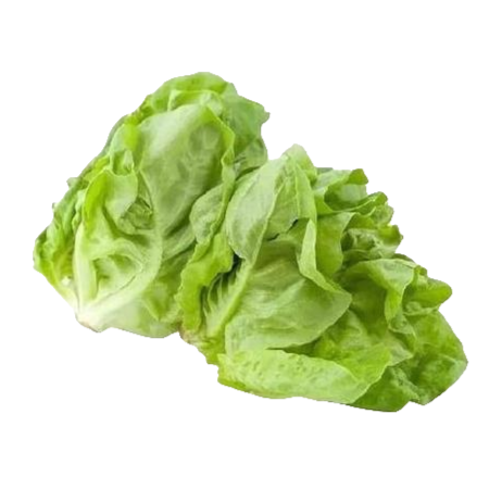 生菜（约500g/份）