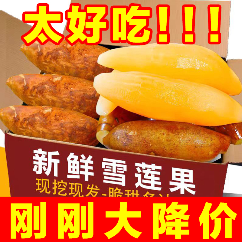 【超低价】云南天山雪莲果新鲜水果正宗新鲜现挖脆甜多汁低糖水果