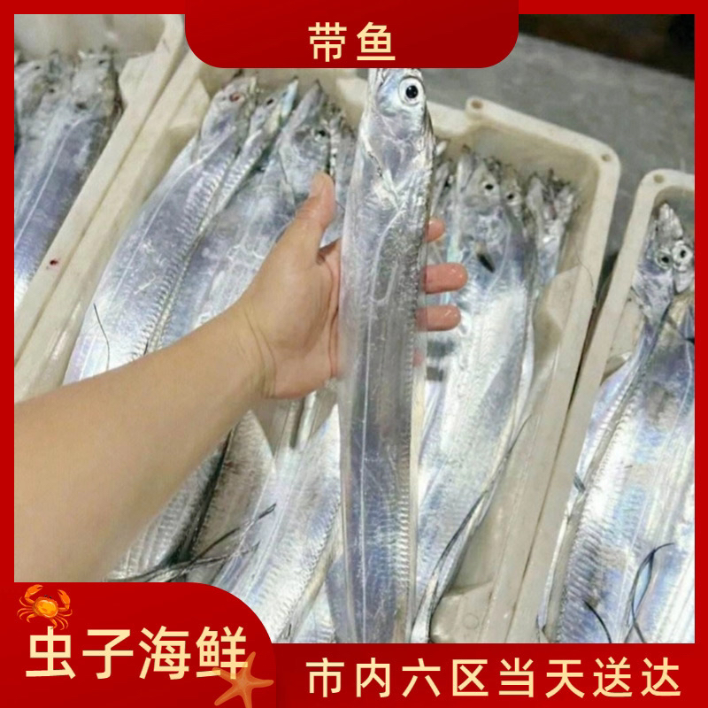 （带鱼）小带鱼福利天气原因外地不发货只限天津同城发货