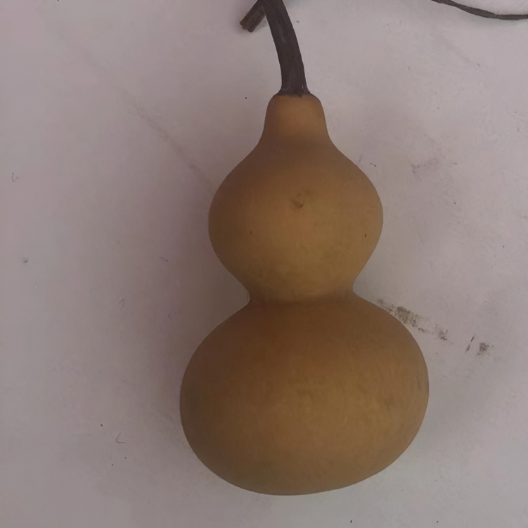 小尺寸，无疤痕种植的八宝花椒葫芦。高度5公分不小于8公分。