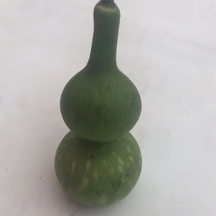 种植的，全品无疤痕,长嘴八宝葫芦，高度25公分，不小于15公分。
