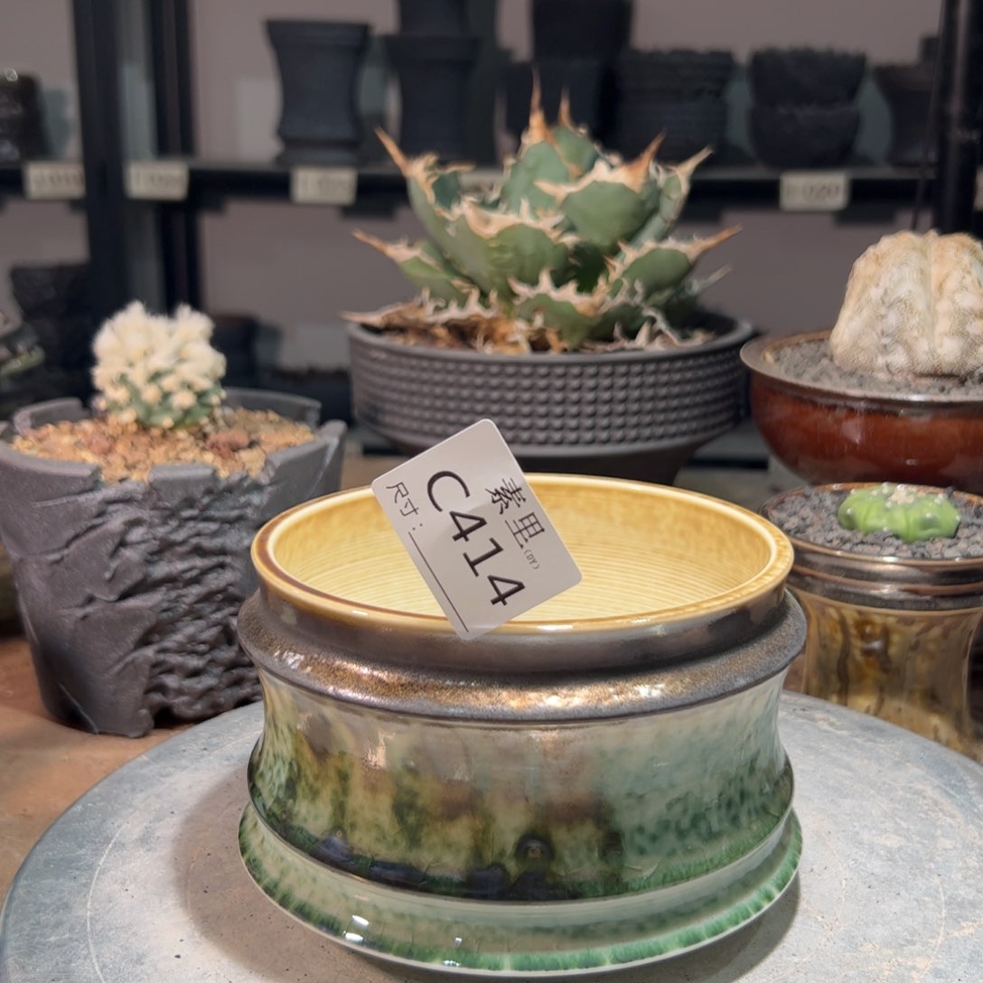 景德镇素里手工尽快13高9.5