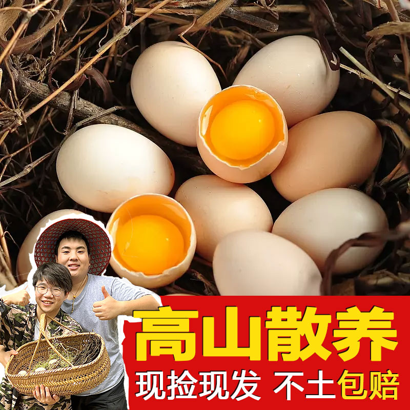 【60枚土鸡蛋不土包赔破损包赔散黄包赔】正宗柴鸡蛋笨鸡蛋高山散养