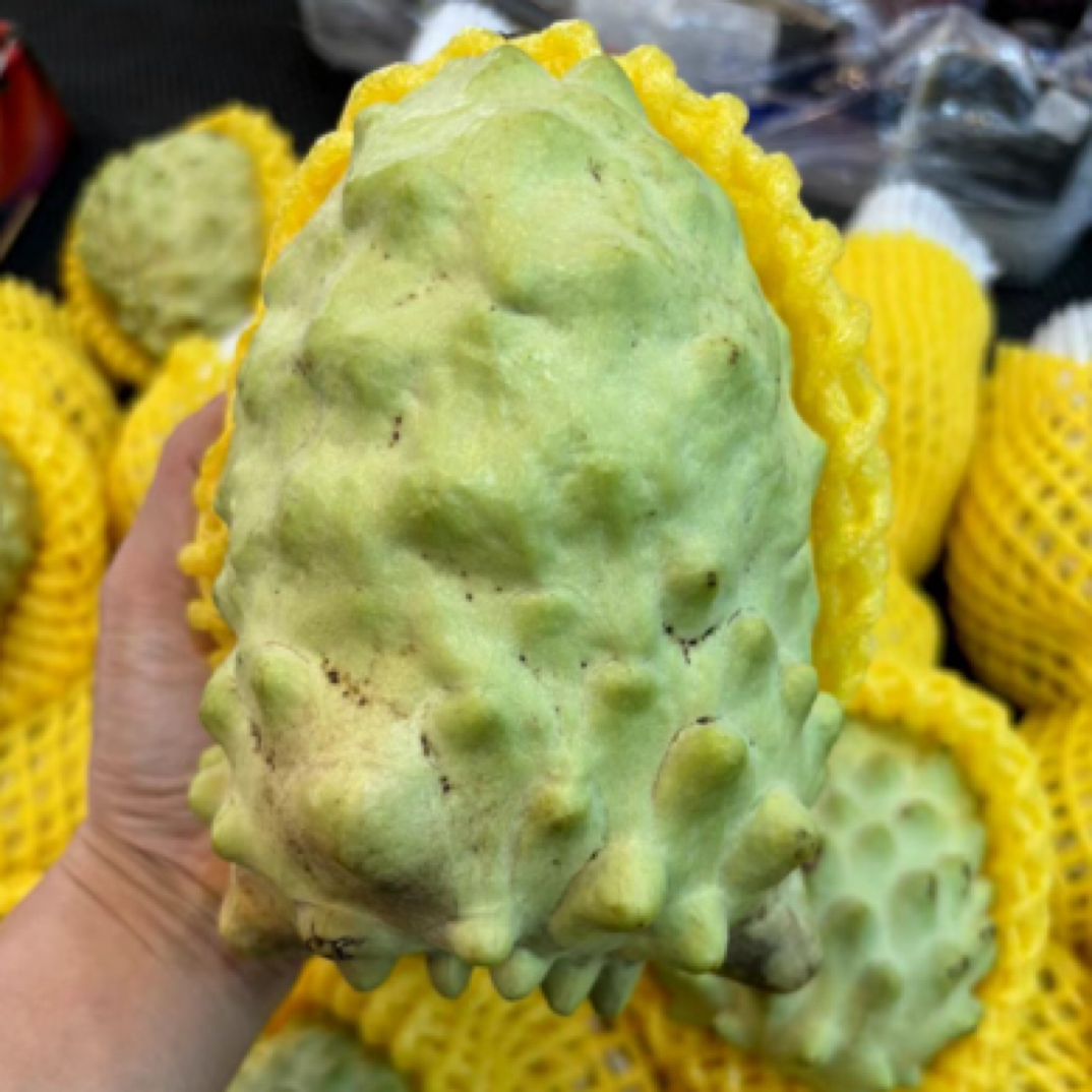 凤梨释迦果树苗 四季品种 冬天落叶植物