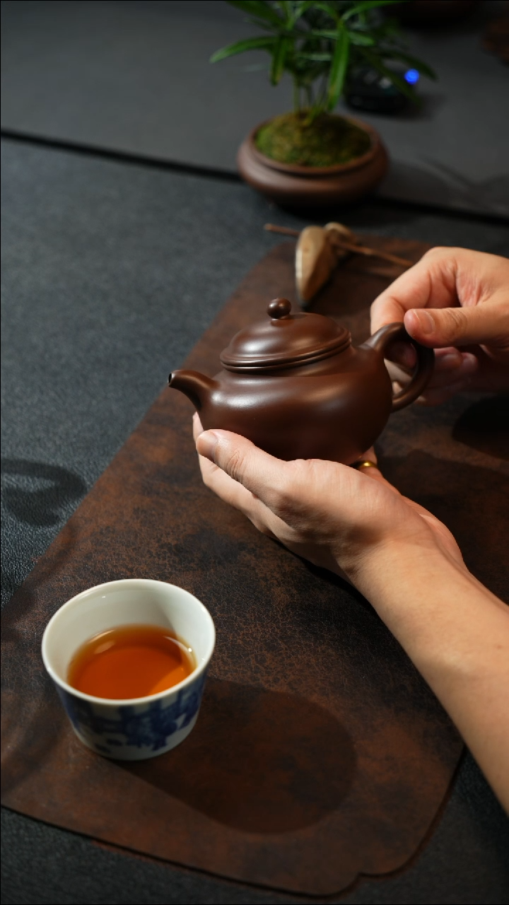 【闪购商品】紫砂茶壶1