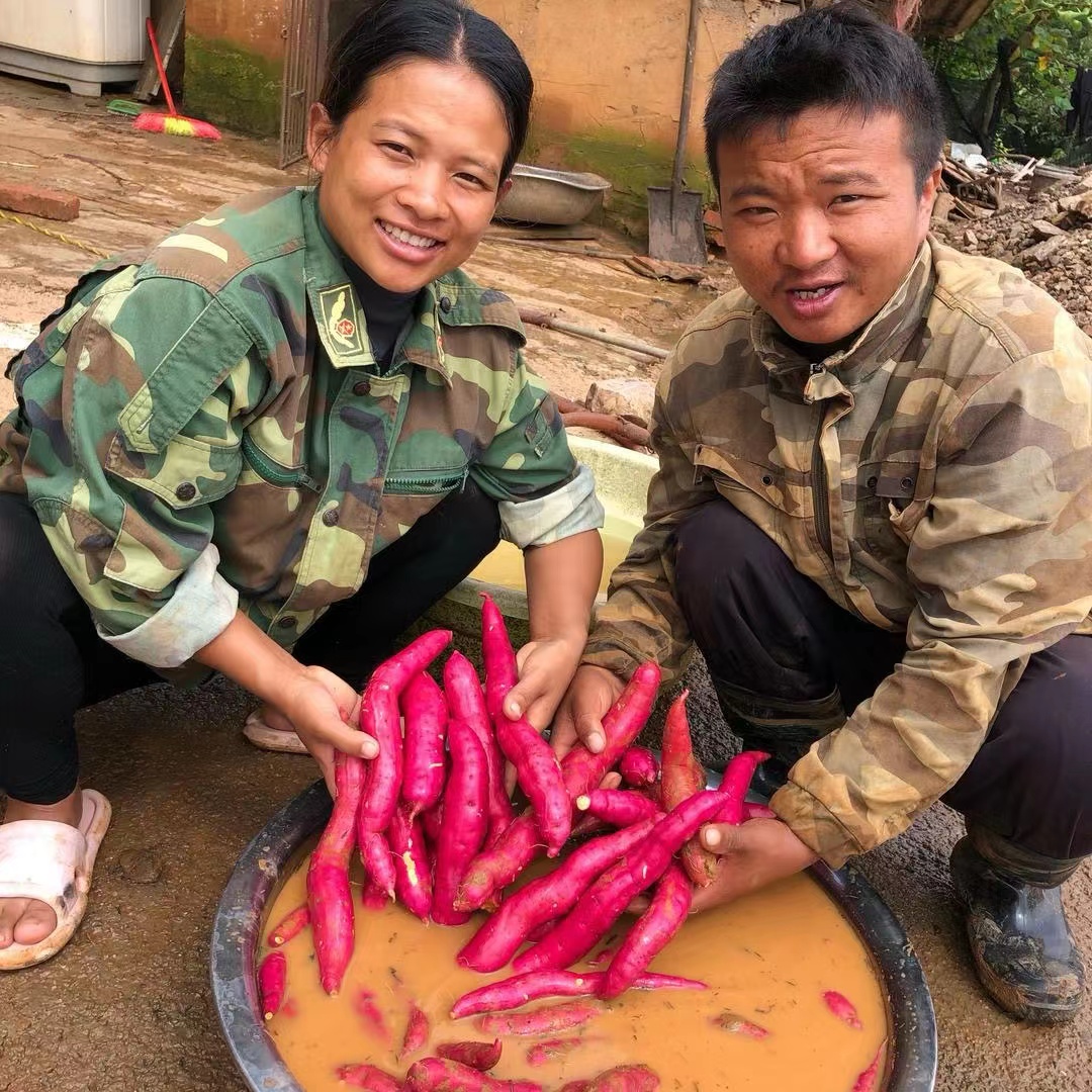 云南高原密薯红薯地瓜糖心番薯西瓜红自己挖发现货