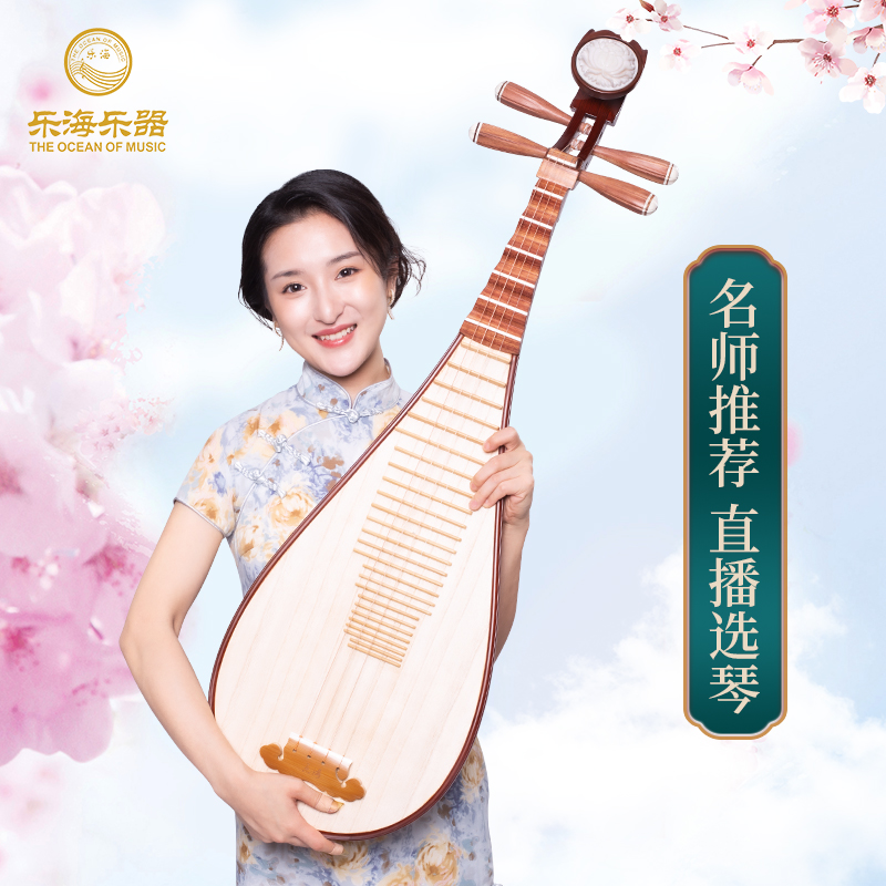 THE OCEAN OF MUSIC/乐海琵琶乐器奥氏黄檀木驾驭10级DJ14