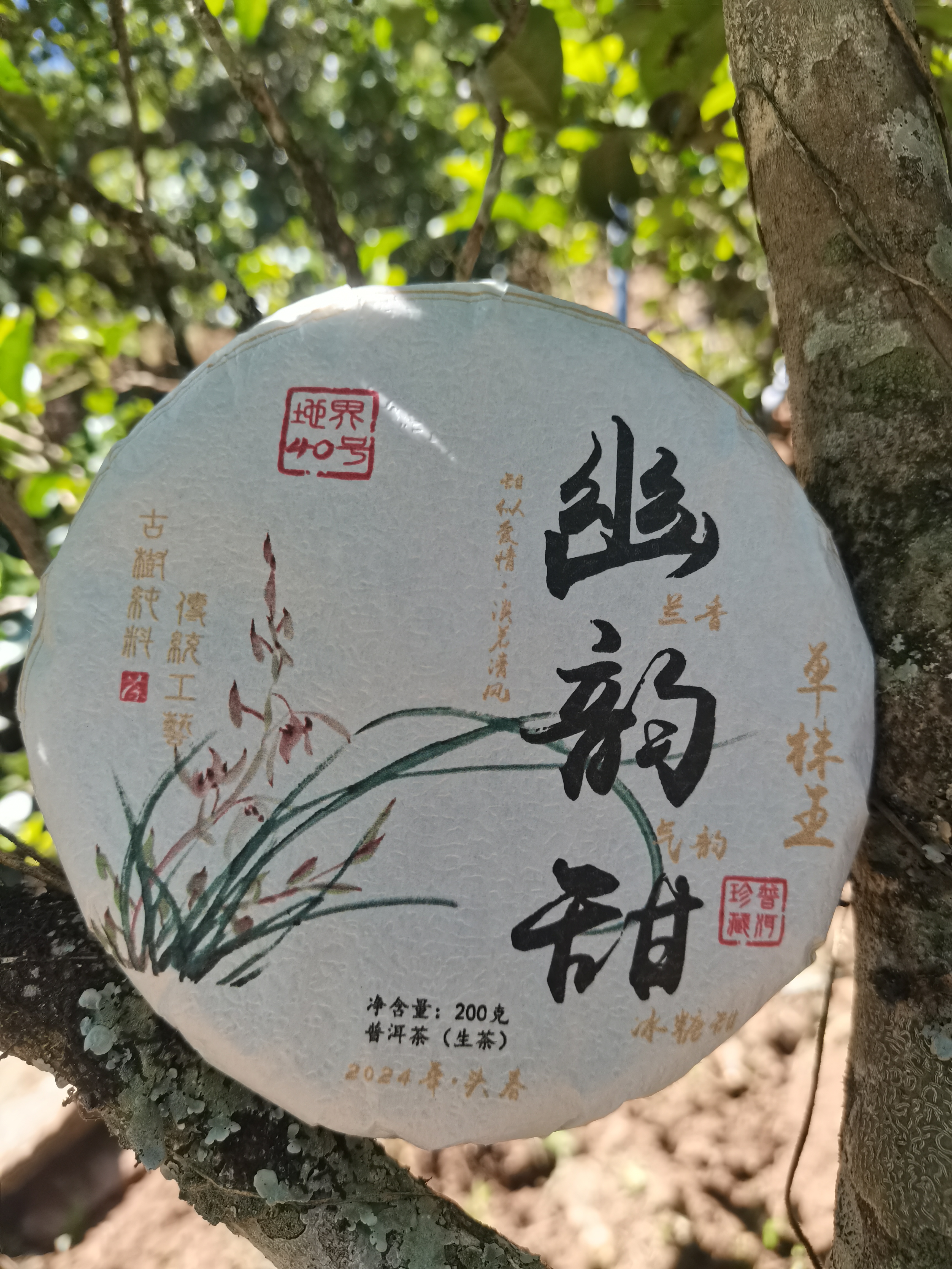 冰岛地界40号2024年幽韵甜单株头春饼茶200克