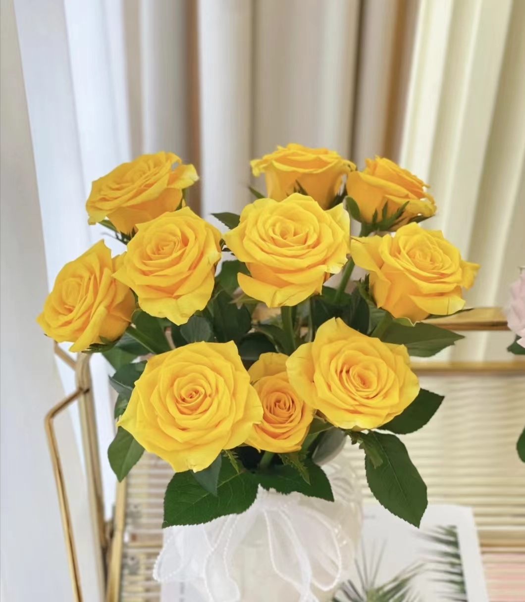 【契机玫瑰】云南高品质鲜花 全场鲜花任意两单及以上包邮