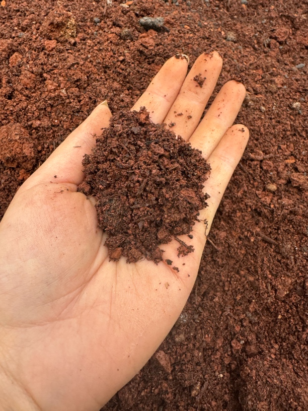 云南高山腐叶营养土绿植专用土肉肉土