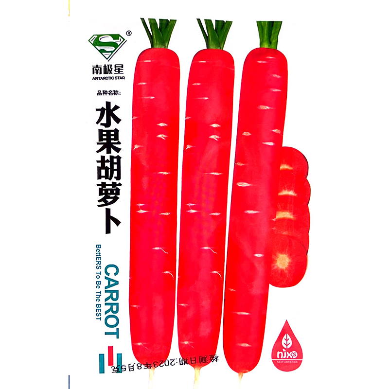 水果胡萝卜种子红色胡萝卜种子紫色水果萝卜蔬菜种籽红胡罗卜种