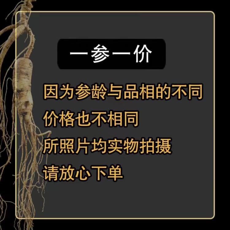 娟妹鲜参 人参 选货改价 链接