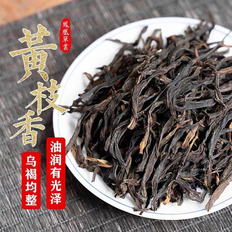 凤凰单丛  秋茶黄枝香 清香型 250g  500g口粮茶单丛茶乌龙茶茶叶