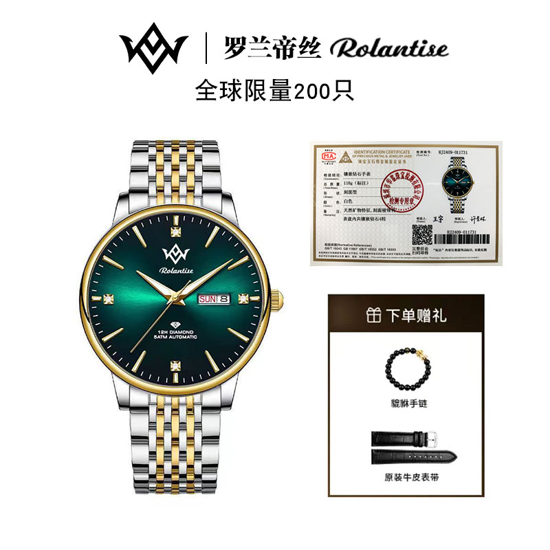 ROLANTISE/罗兰帝丝全自动机械表男士夜光腕表经典腕表