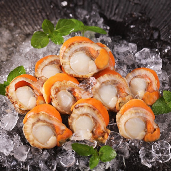 新货熟剥 无沙大个扇贝肉 500克/1包 到手5包