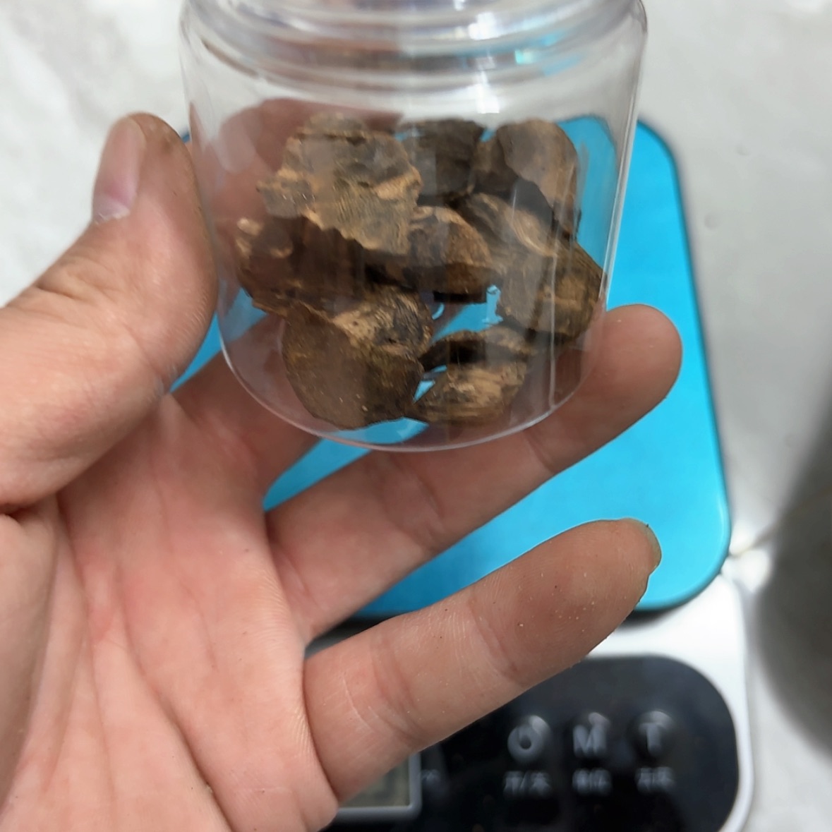 【闪购商品】10克树丁根雕%*