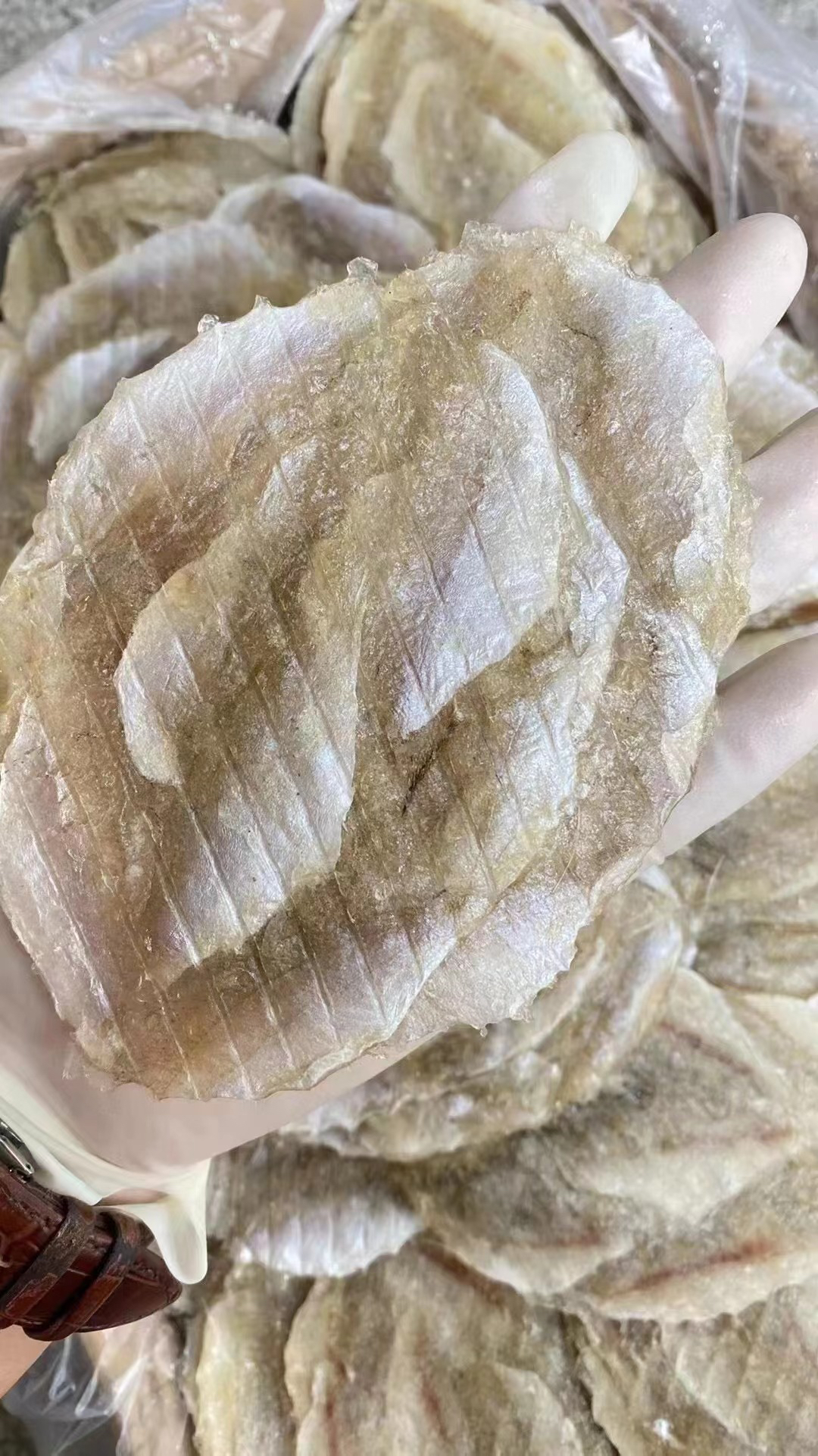 湛江特产鱼柳干马面鱼干片海鲜干货