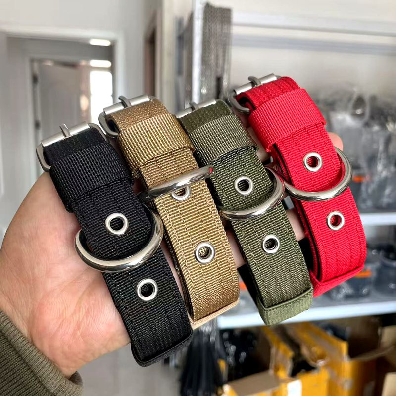 2.5宽针扣尼龙脖套中小型犬栓狗遛狗脖套杰克比格猎梗舒适颈圈