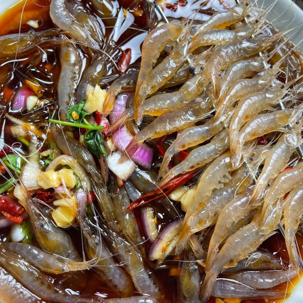 张磊家  生呛小白米虾3瓶每500克（收到冷冻保存）