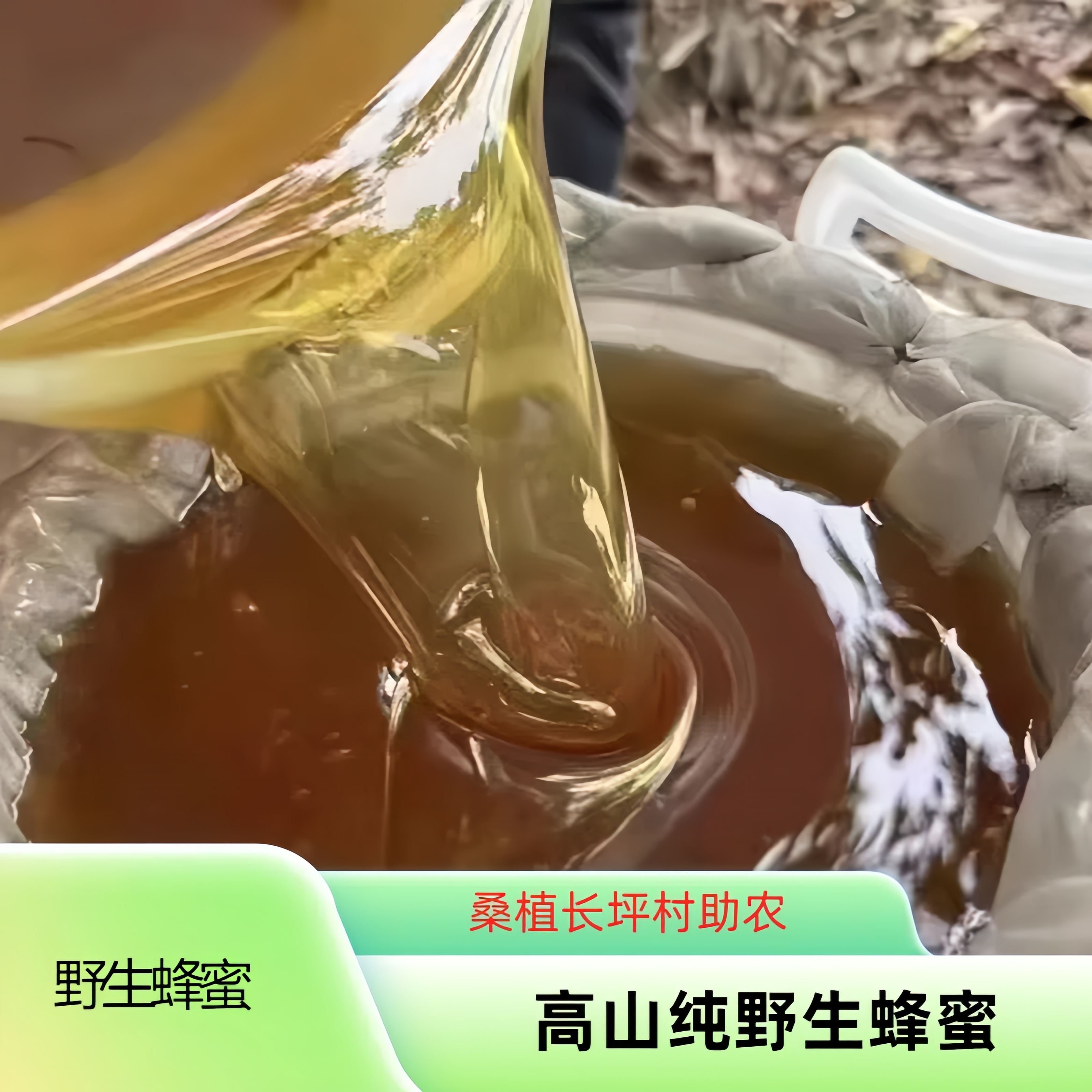 农户高山野蜂蜜 长坪农货