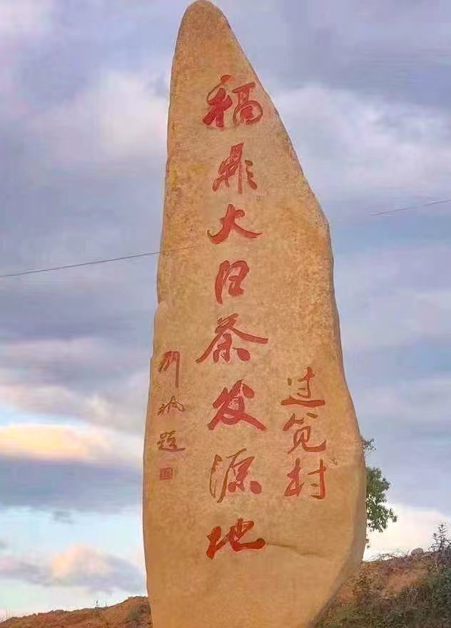 【福鼎白茶】焕源  临时链接以直播间为主