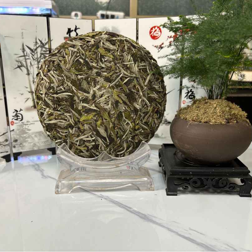 【福鼎白茶】焕源 留香牡丹饼鲜爽度高花香毫香兰花韵2024亲制款