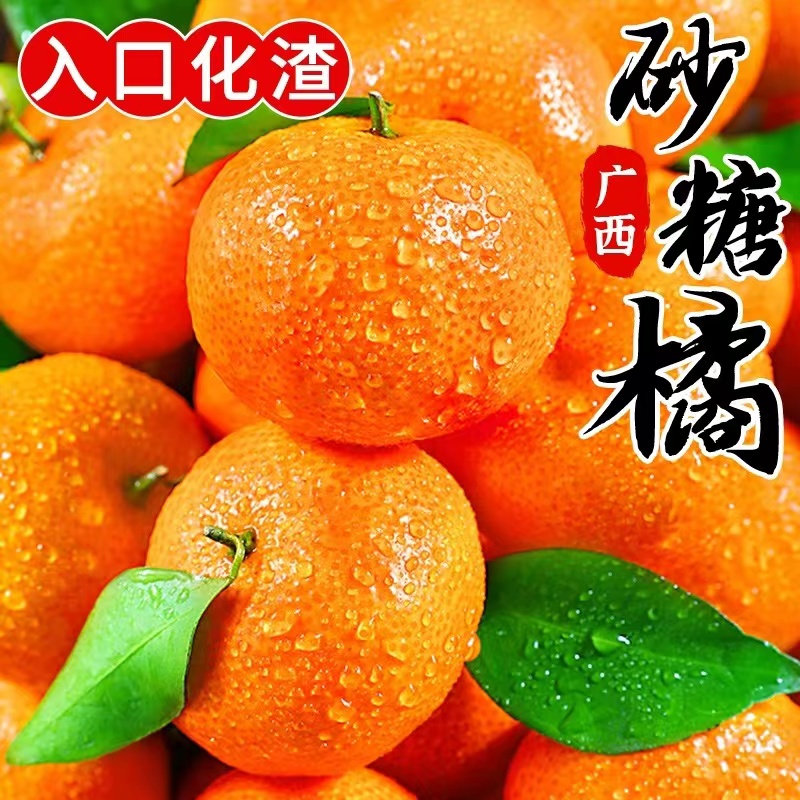 正宗广西砂糖橘 沙糖桔 当季新鲜水果 现摘现发 橘子 桔子3/5/9斤
