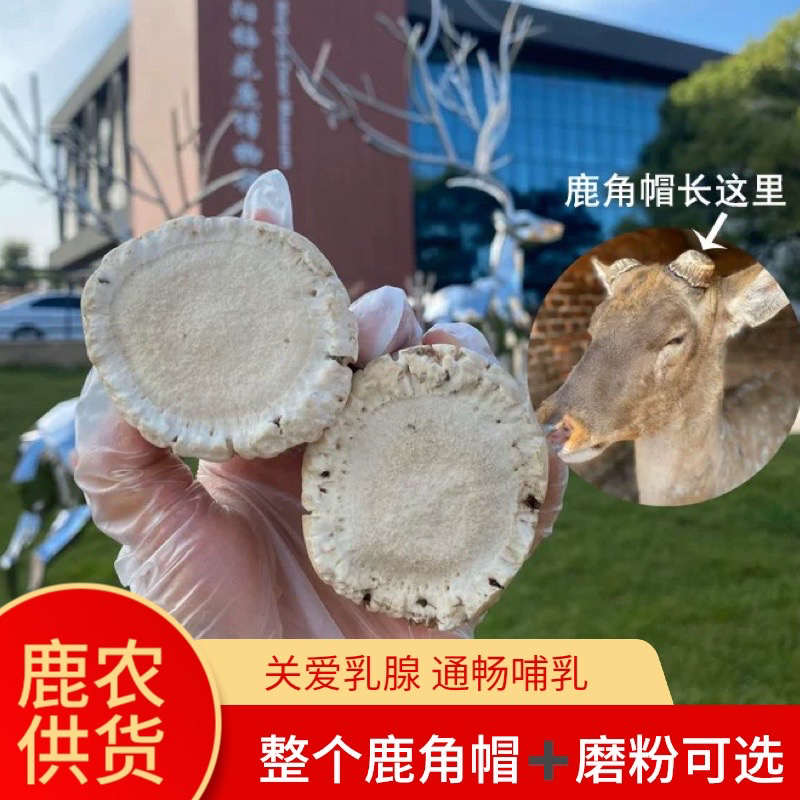 鹿小薇•双阳鹿乡整个鹿角帽鹿托盘粉250克新角帽磨粉细腻代客磨粉