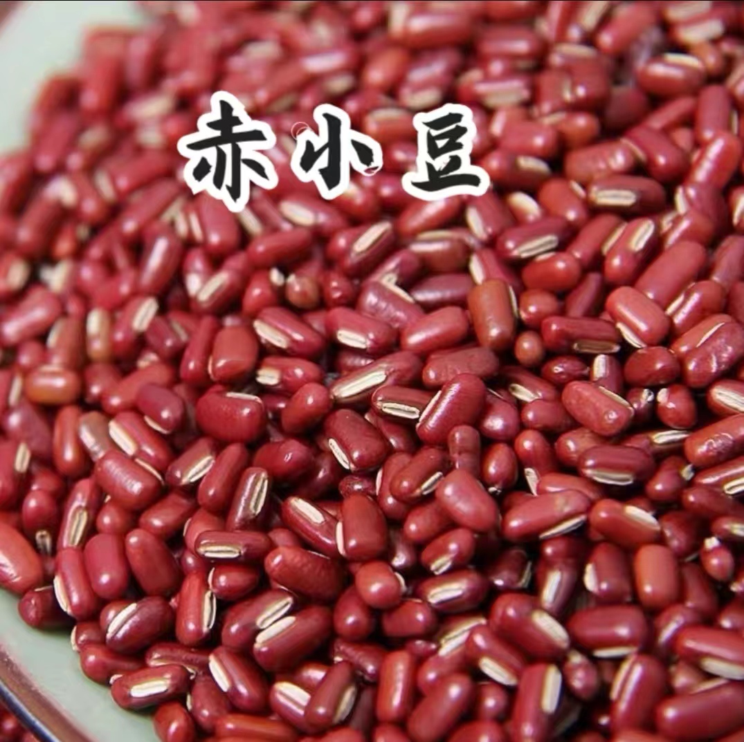 农家自种长粒赤小豆