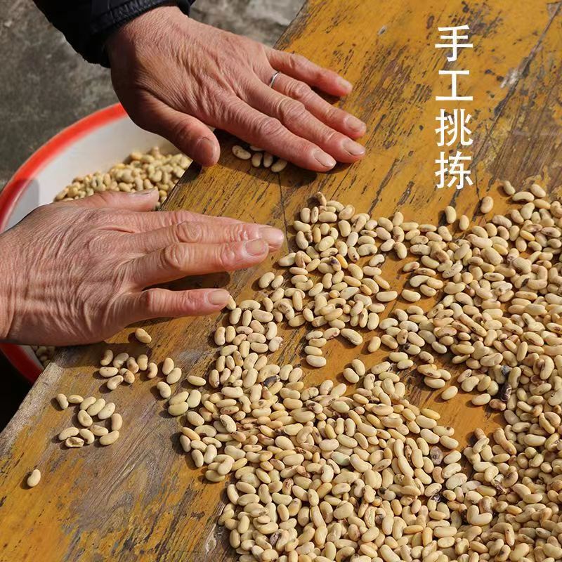 古老老品种肾形黄豆可循环留种