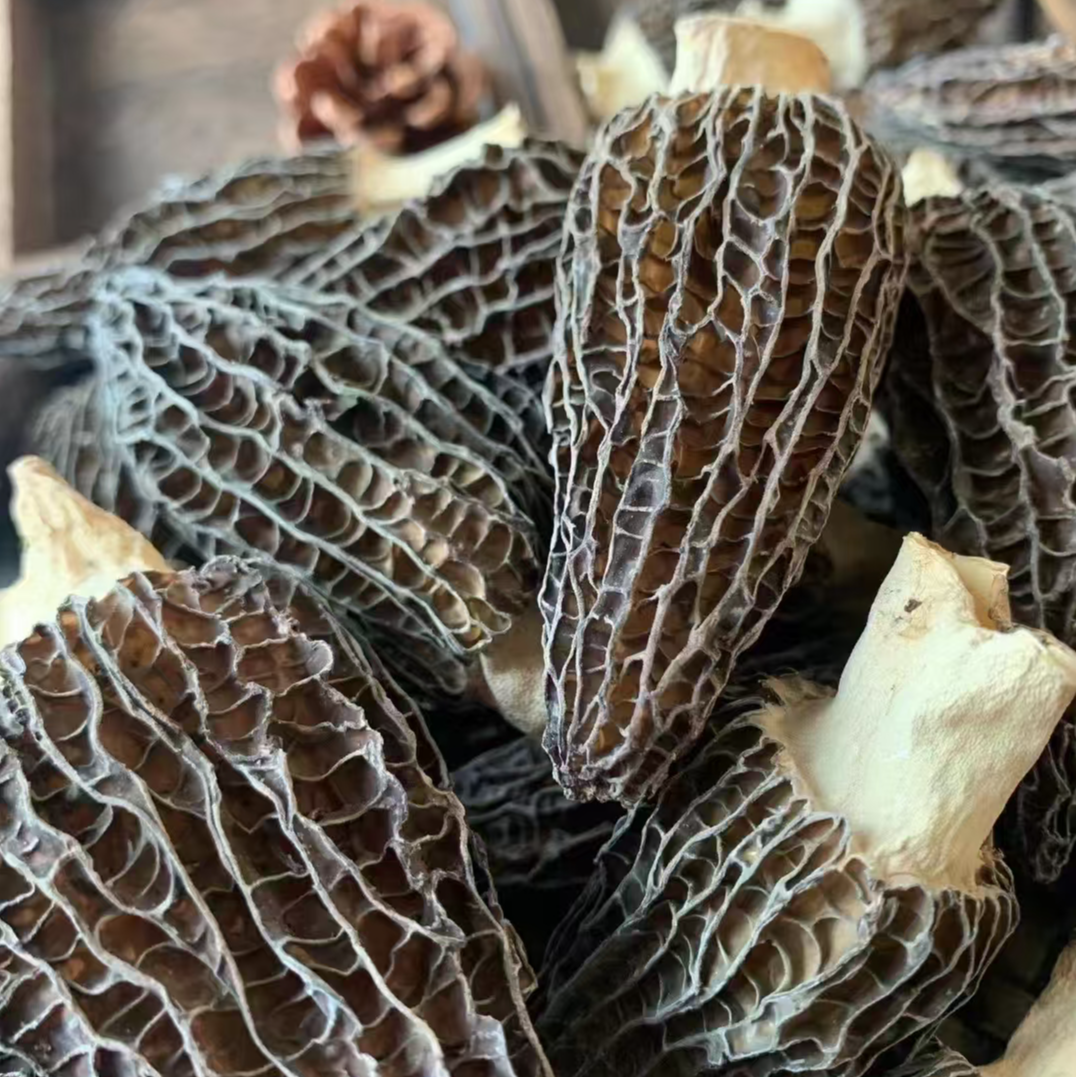 精选好物 羊肚菌 50克