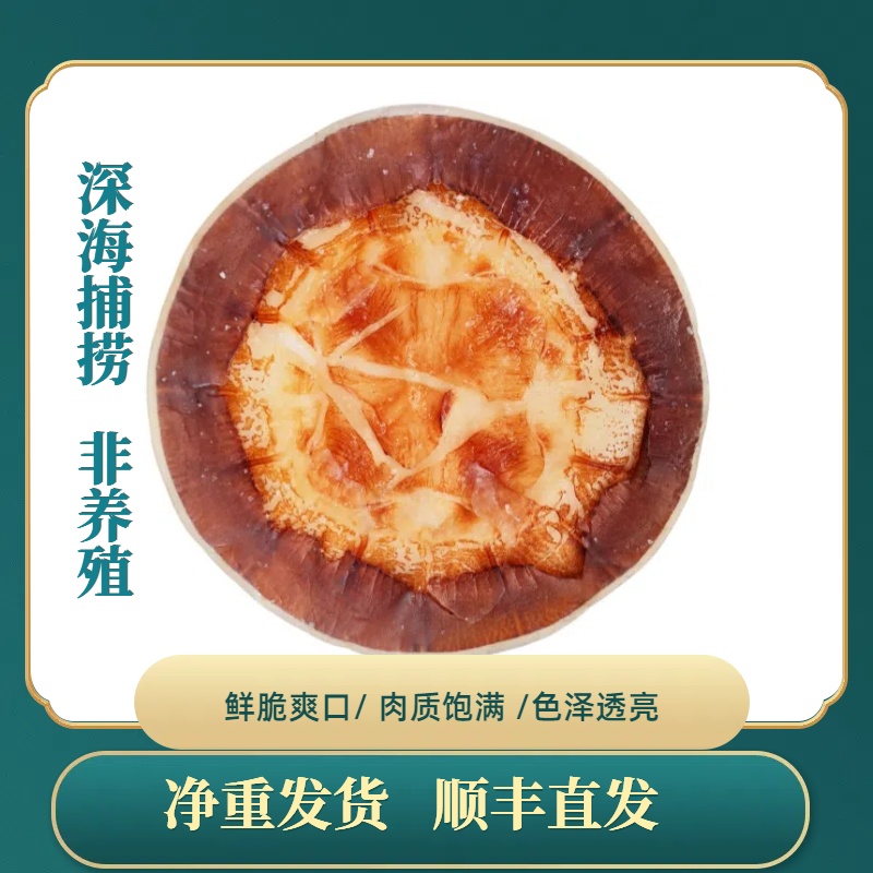 渤海湾海蜇皮 盐渍非即食提干海蜇皮3斤/5斤桶装天然海蜇海鲜美食