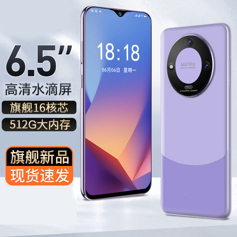 【官方正品】全新未拆封高端轻奢全网通双卡双待512