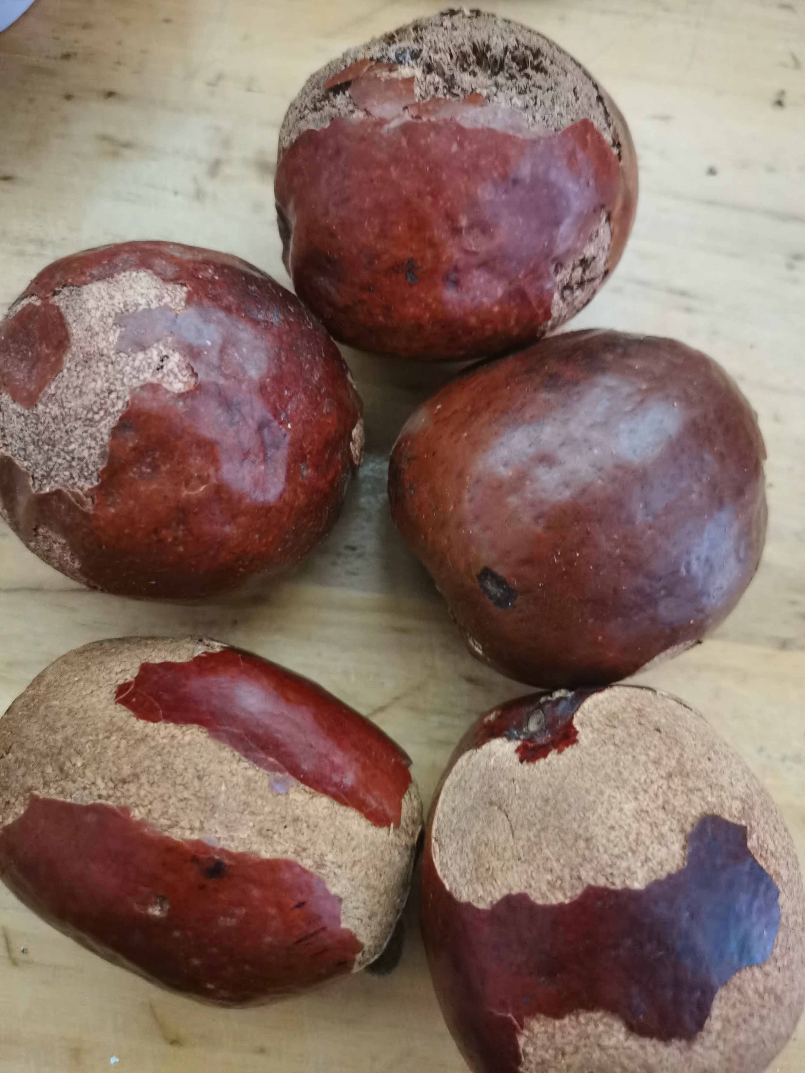 佛心果原果，纯白色，晶莹剔透