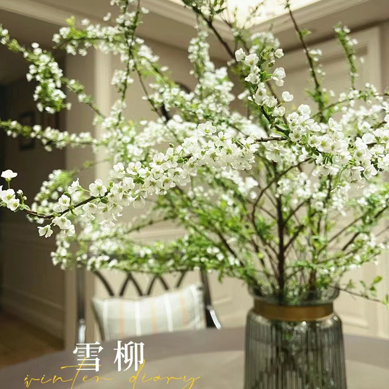 雪柳鲜枝水培干枝支懒人绿植物室内鲜花遇水养开花卉插花水培花卉