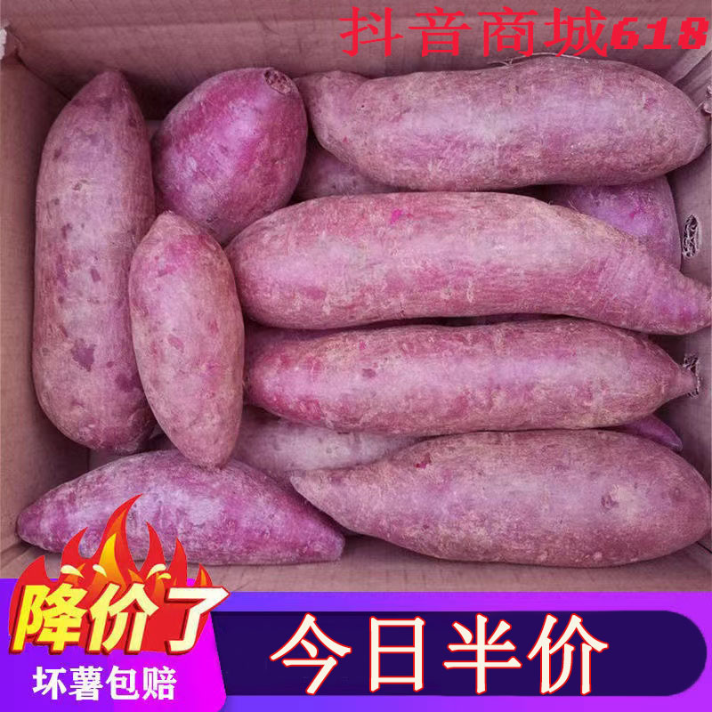 沙地自种新鲜糖心甜农家新鲜紫薯红薯粉糯紫罗兰蜜薯山芋蔬菜地瓜