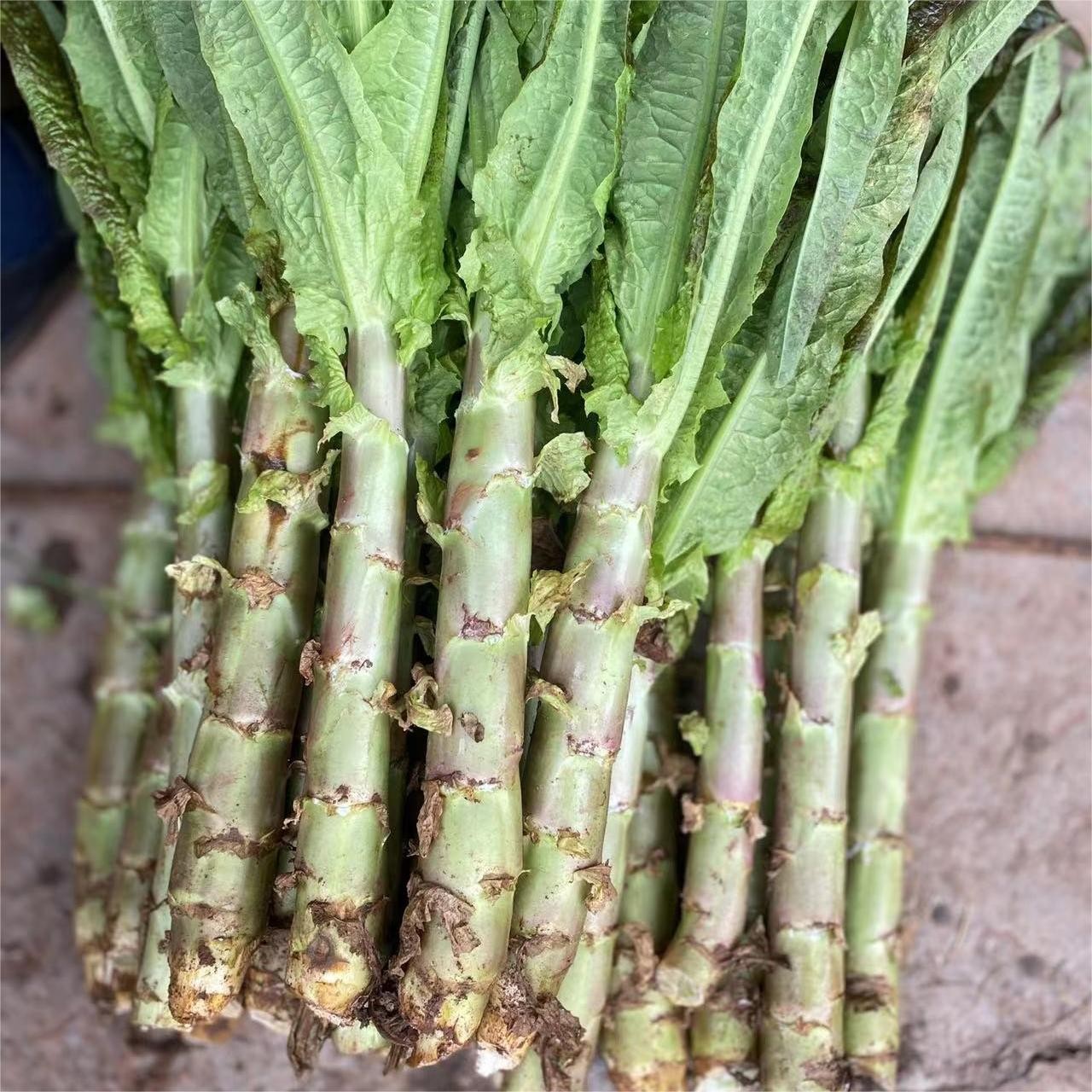 湖南衡阳农家自种香莴笋绿肉莴笋带叶发货叶子可以吃