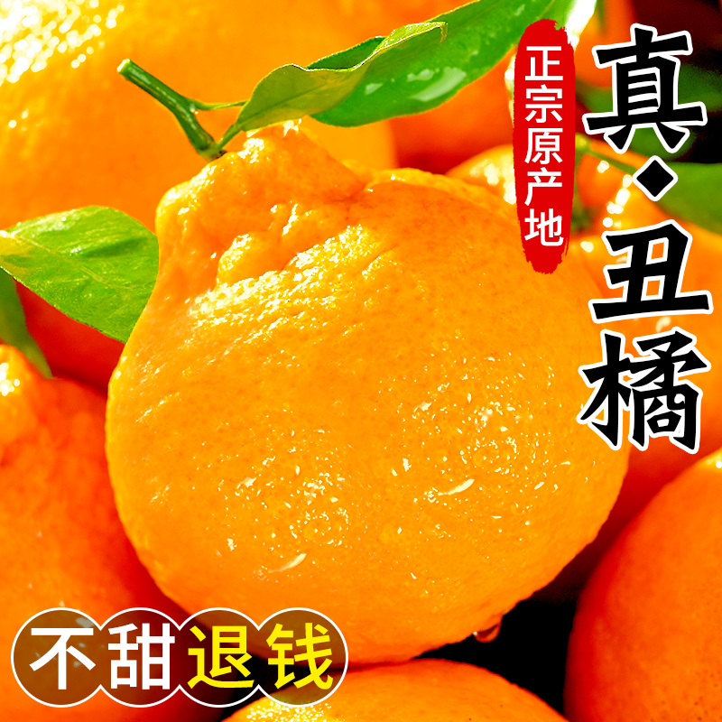 【现摘现发】正宗四川不知火丑橘爆甜多汁橘子应季爆甜多汁耙耙柑