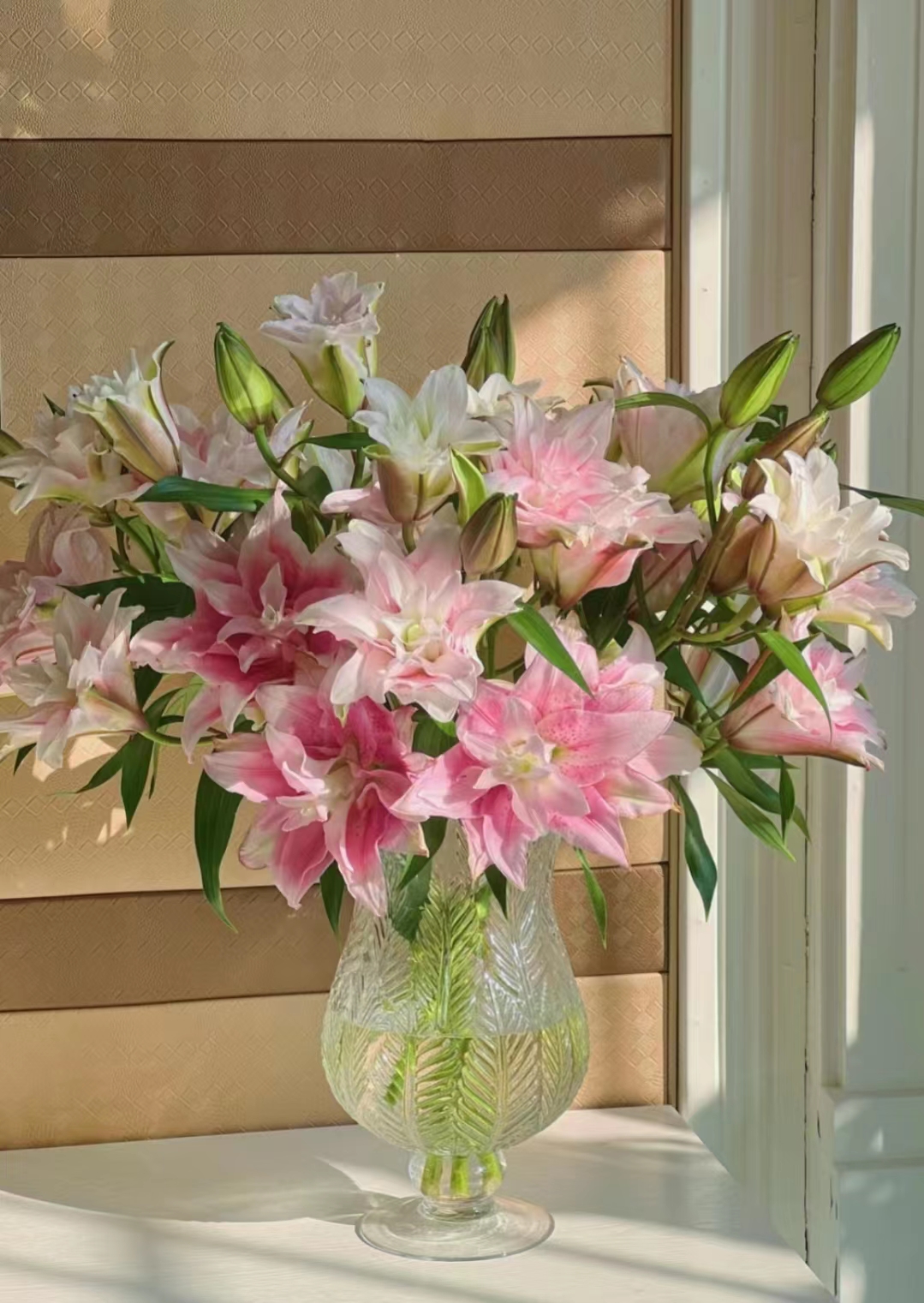 【胡安娜】三头重瓣百合鲜花云南直发直批昆明斗南花市水养插花新鲜