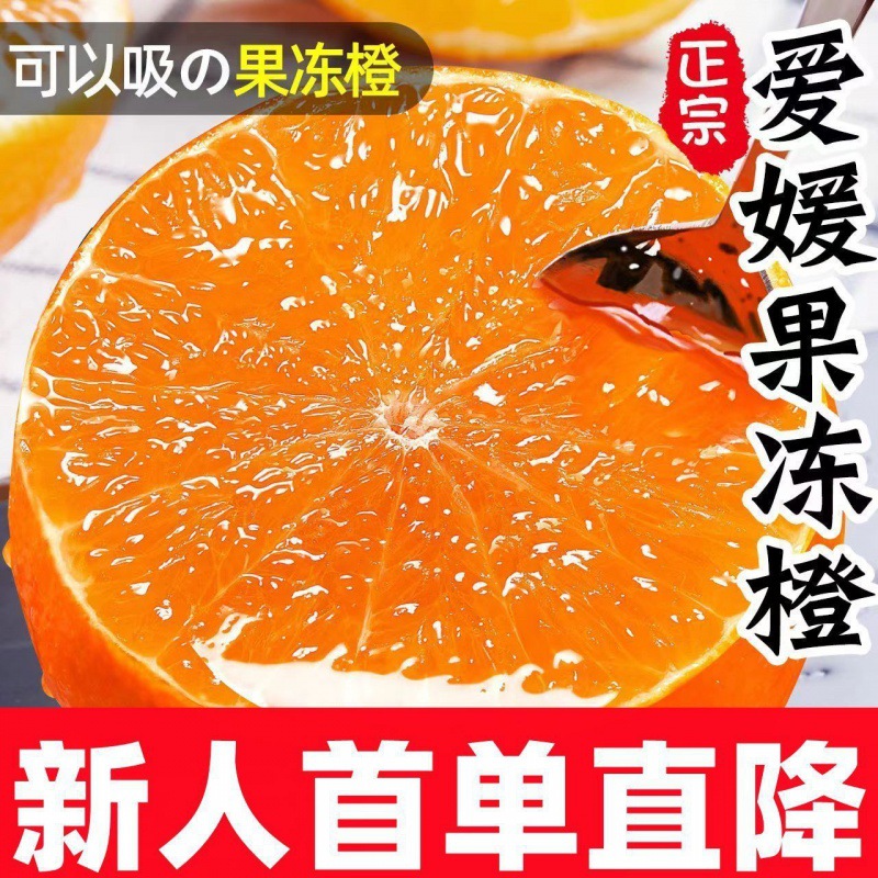 【正果园】果冻橙四川爆汁爱媛手剥橙子脐橙血橙非不知火耙耙柑新