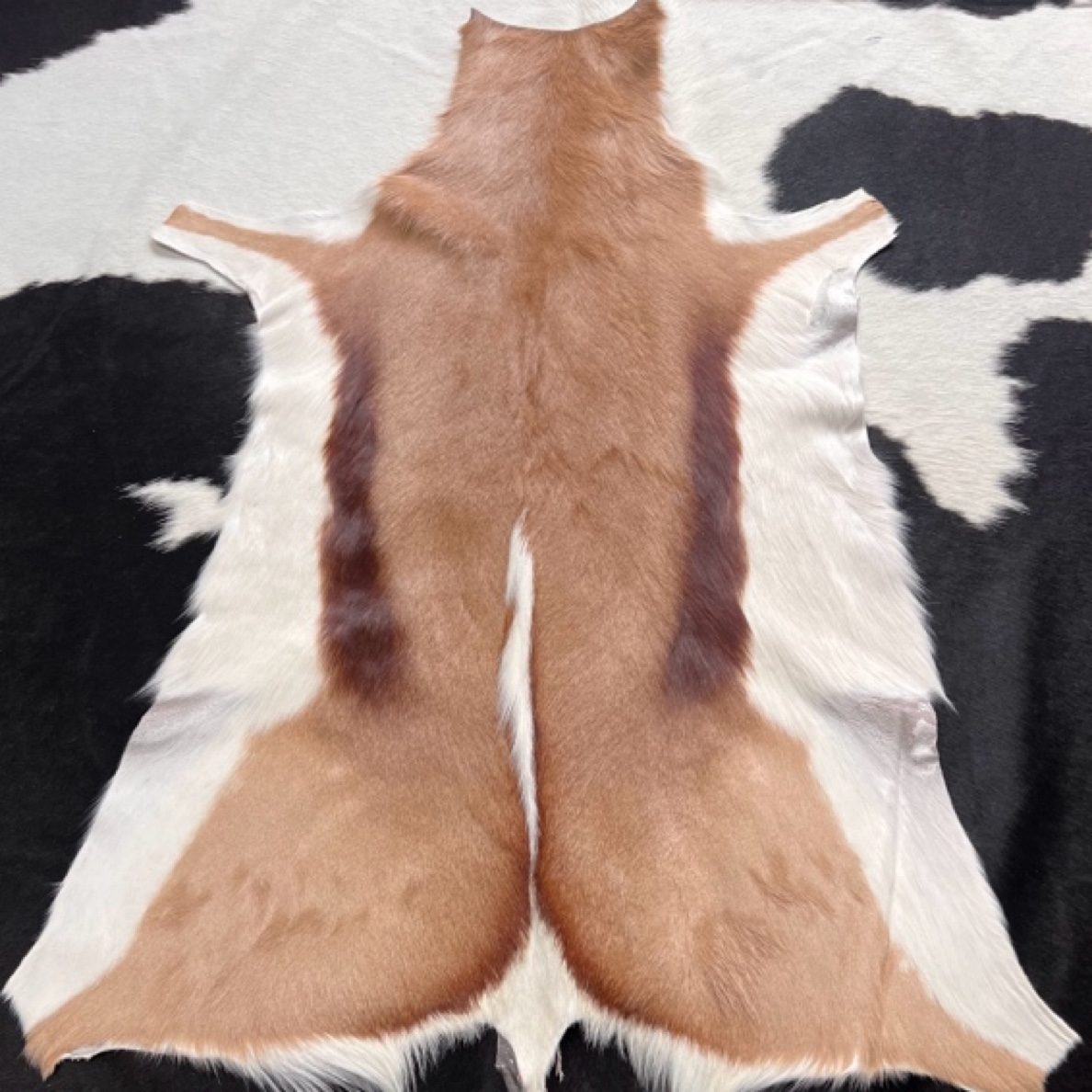 进口跳羚羊皮，皮毛一体，特A级别，跳羚羊皮毛，沙发垫背景墙家具包